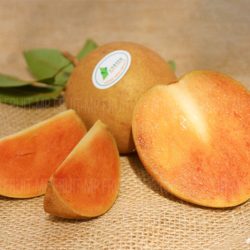 Trái cây tươi nhập khẩu