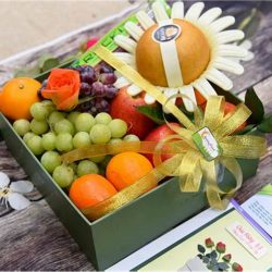 Hộp Trái Cây 14