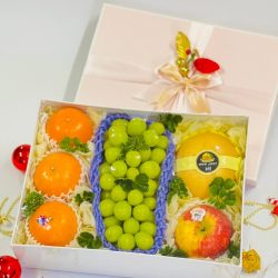 Hộp Trái Cây 19