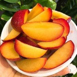 Mận Ruột Vàng