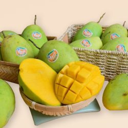 Xoài Cát Hòa Lộc